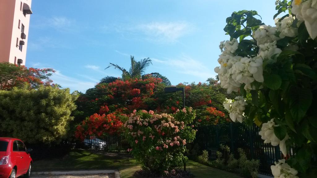 Alegria Acomodação com café da manhã 